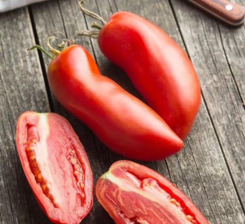 Tomato  Pepper Red